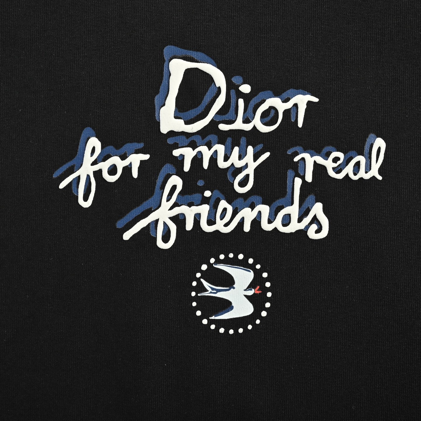 Dior 25ss front and back lettering foam print short sleeves
