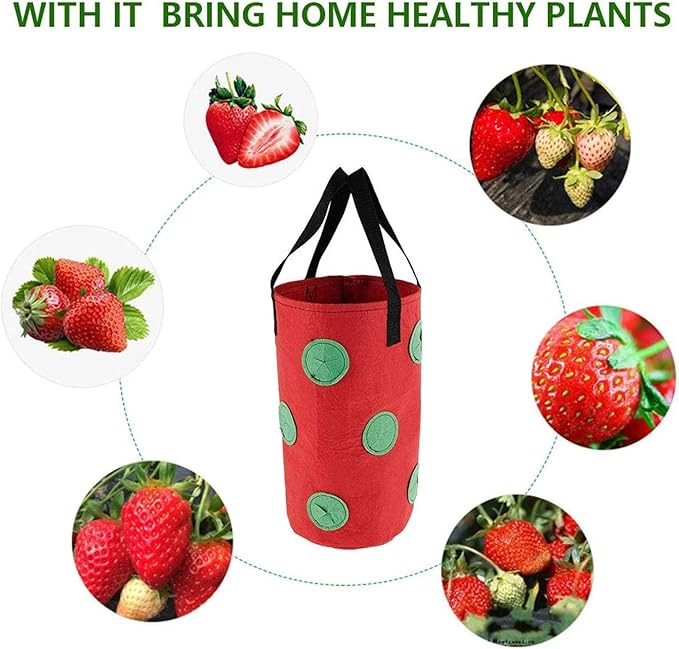 🌱🍓 12 Hole Non-Woven Hanging Grow Bag