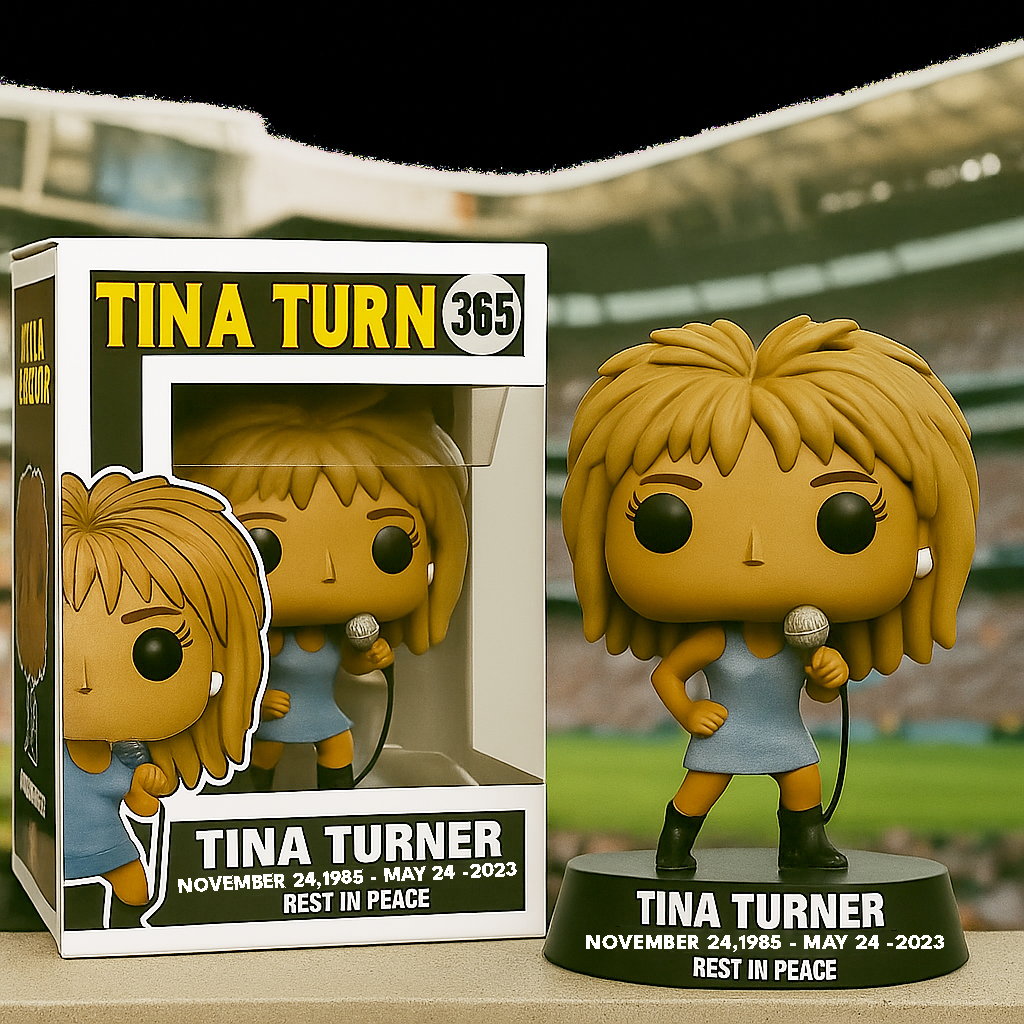 Tina Turner – “Queen of Rock” Collector Figure