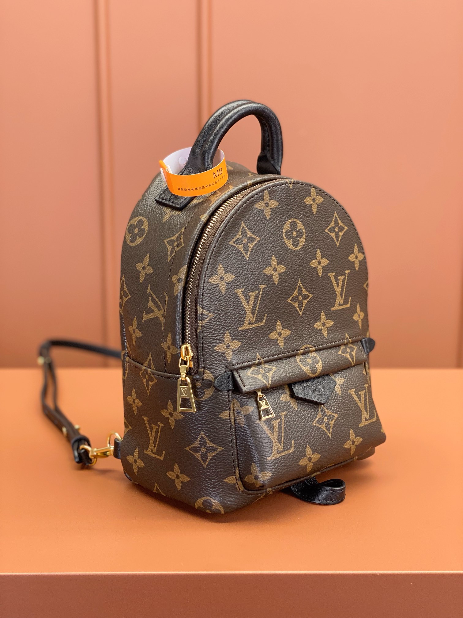 Louis Vuitton PALM SPRINGS Mini Backpack M44873
