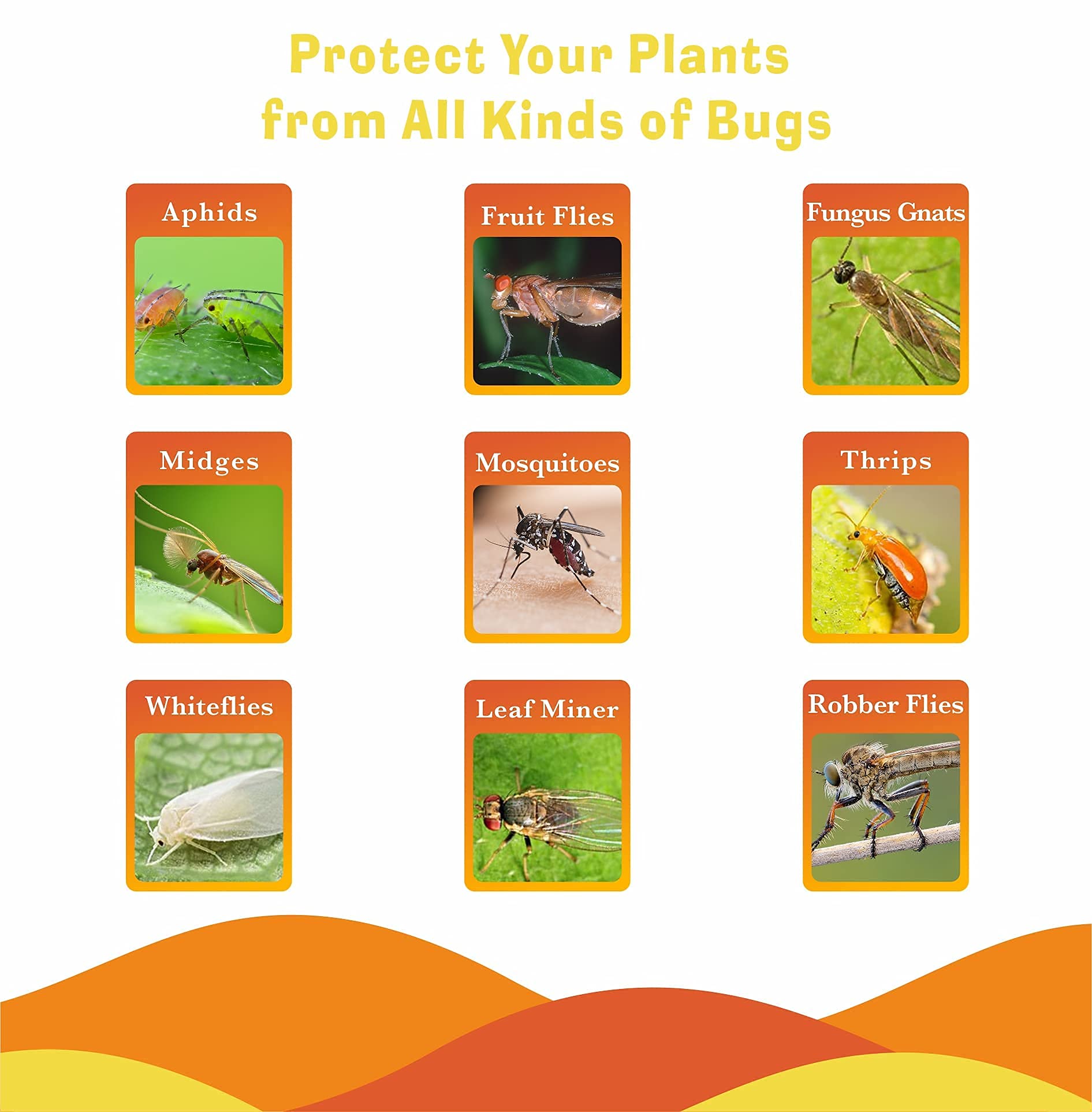 🔥Mother's Day Early Sale-[SAVE 50% OFF]--Double-sided Special-shaped Sticky Insect Trap--BUY 5 SETS GET 5 SETS FREE & FREE SHIPPING