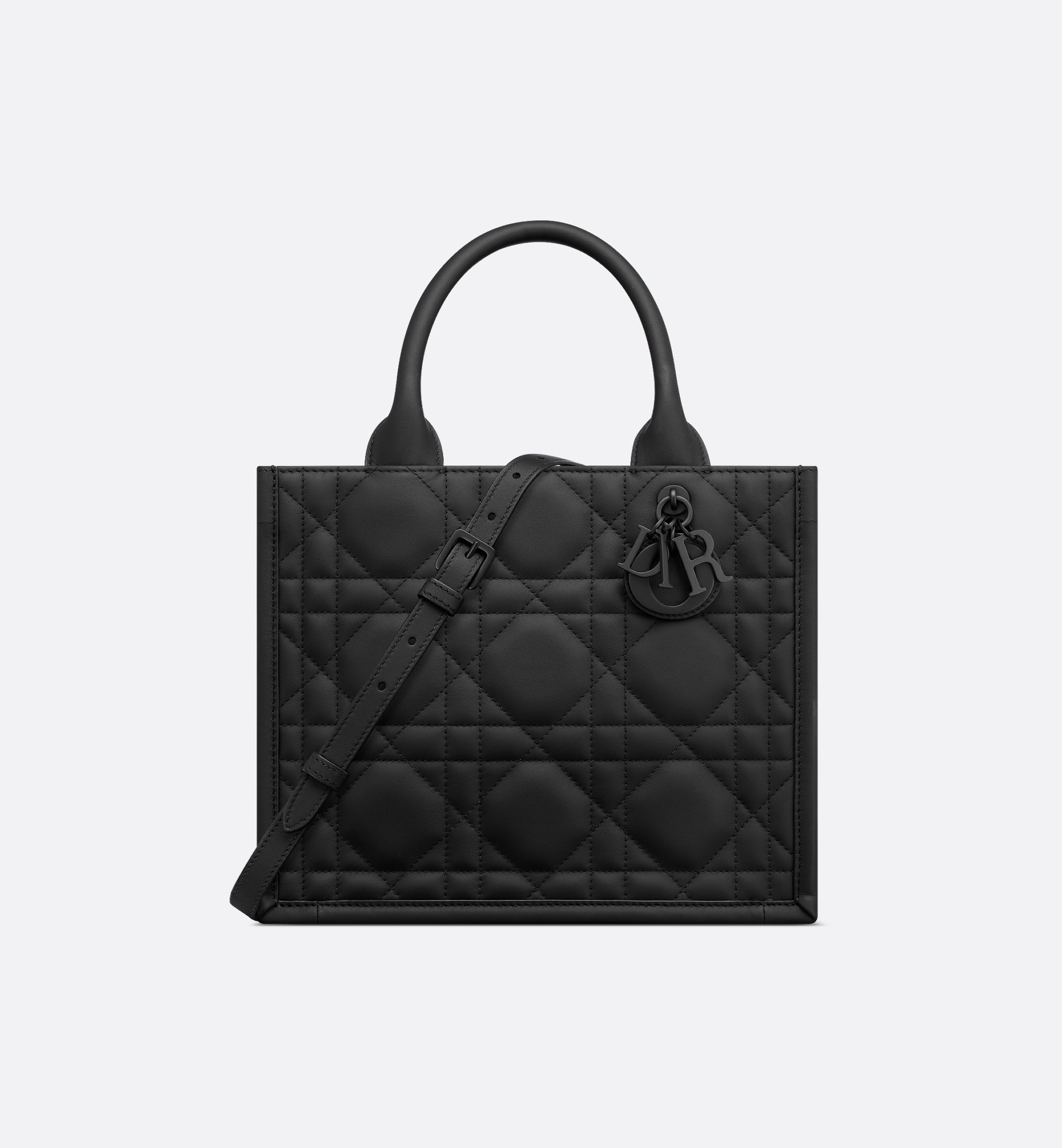 Dior Small Book Tote M1325SLOI_M900