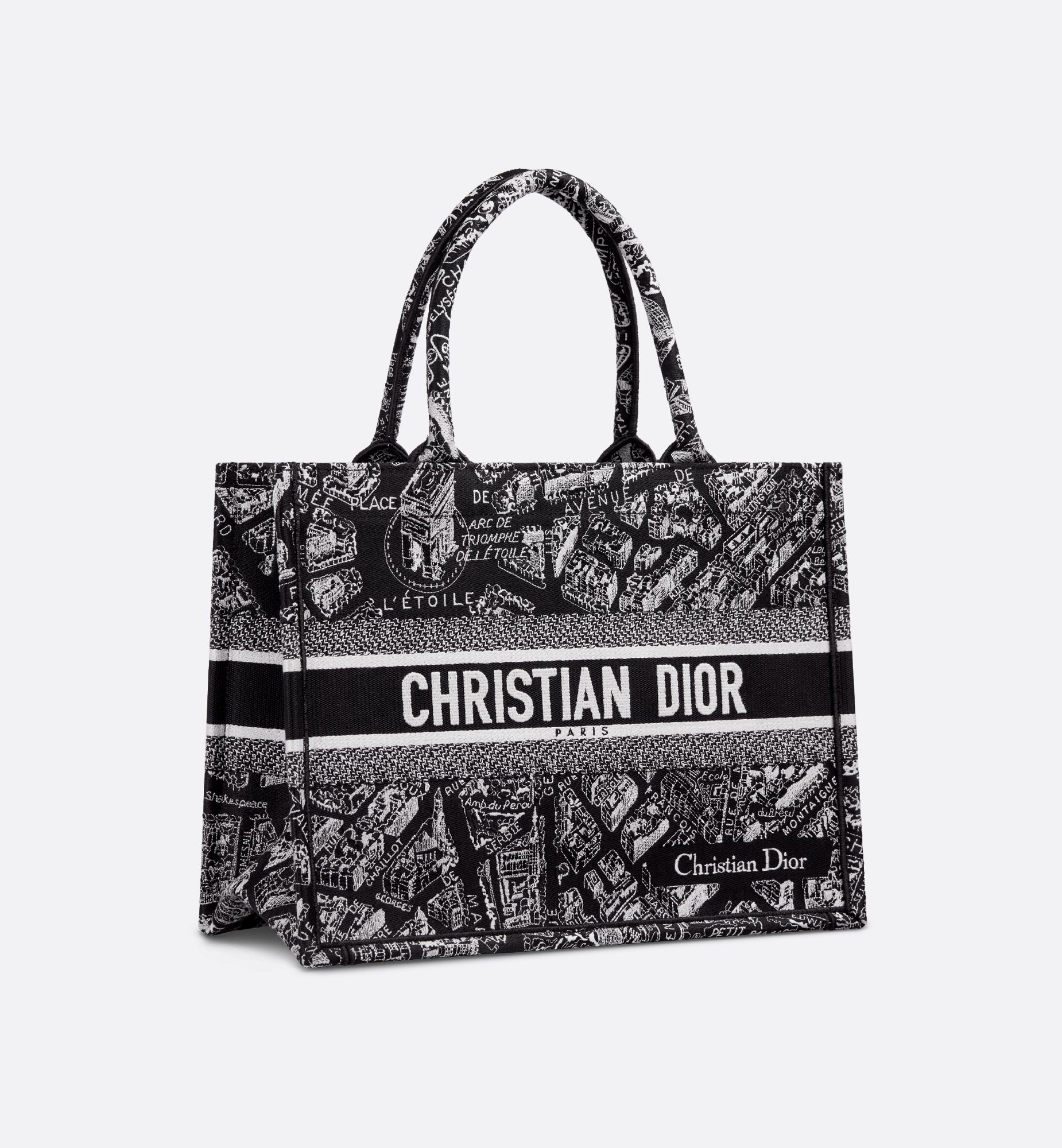 Dior Medium Book Tote Bag M1296ZOMP_M46I