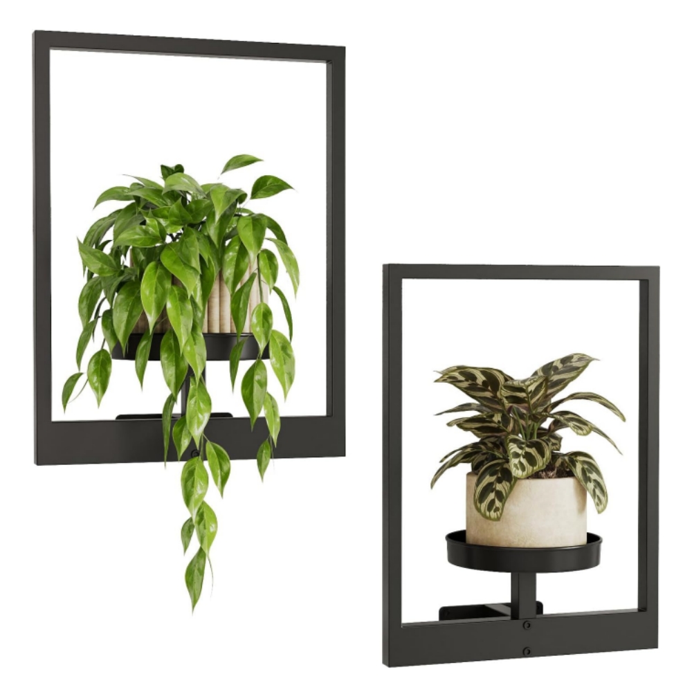 🔥On Sale🔥Metal Wall Plant Holder