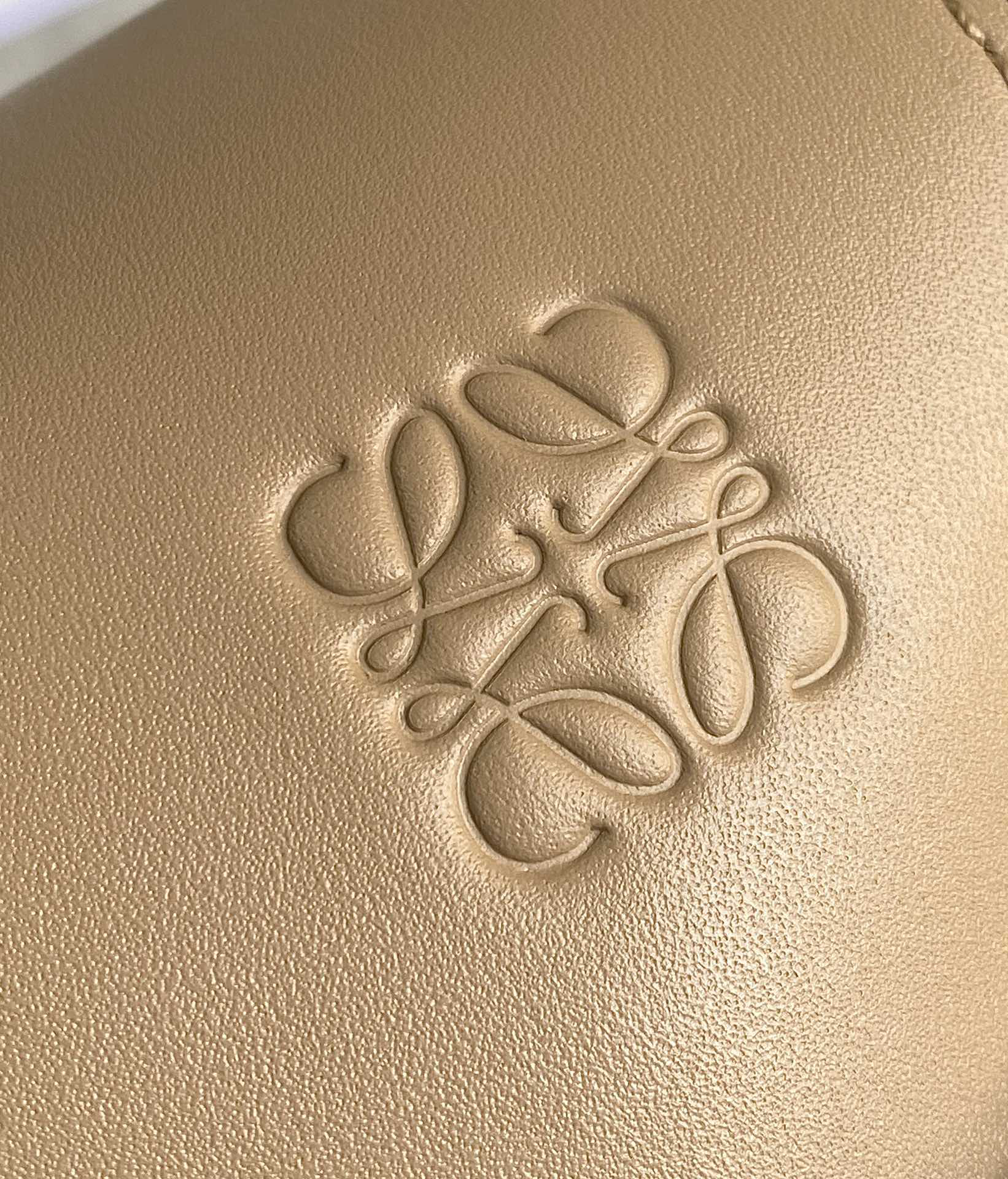 Loewe GateDual bag 0671
