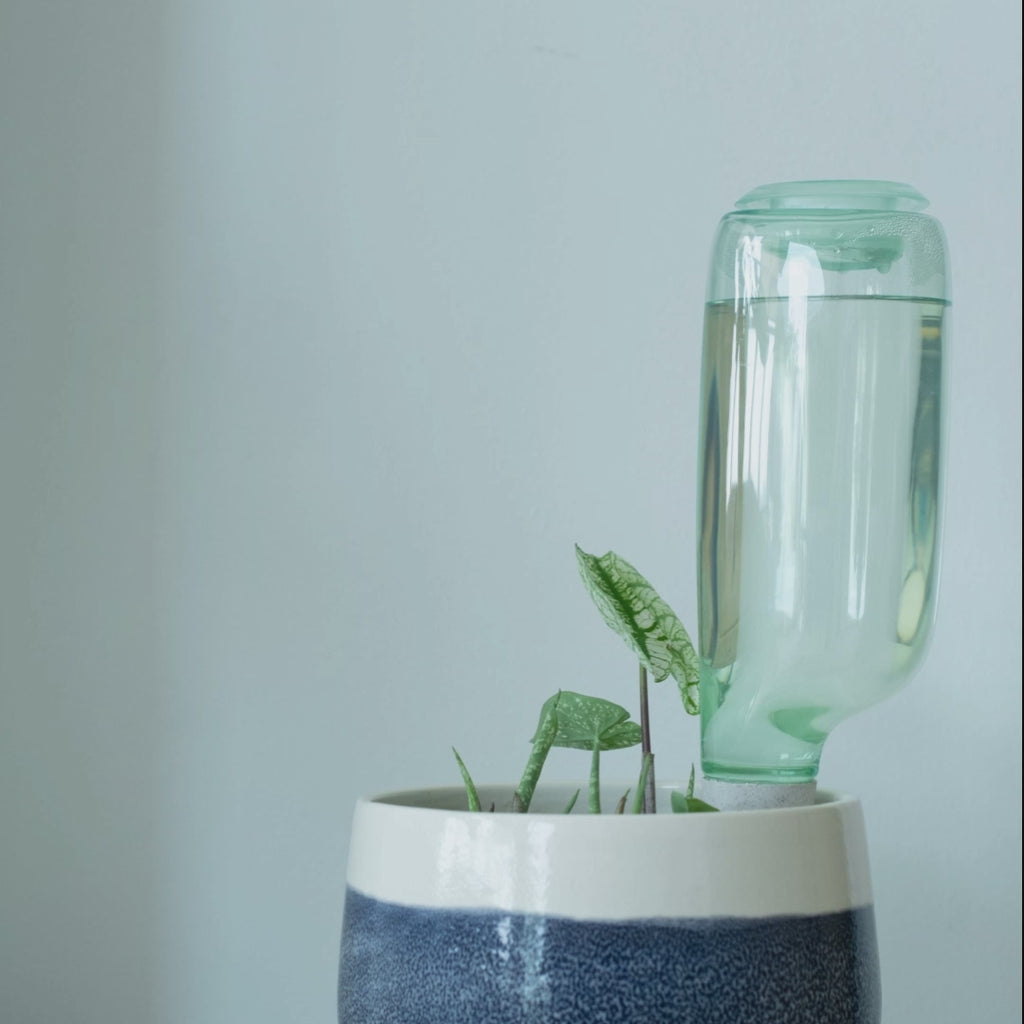 💖Last Day 50% OFF💖Self-Watering Plant Care Kit
