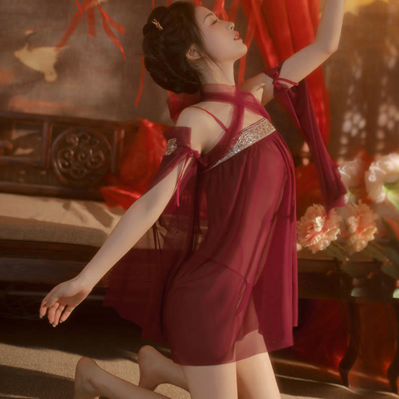 Vintage Mesh See-through Lingerie Dress