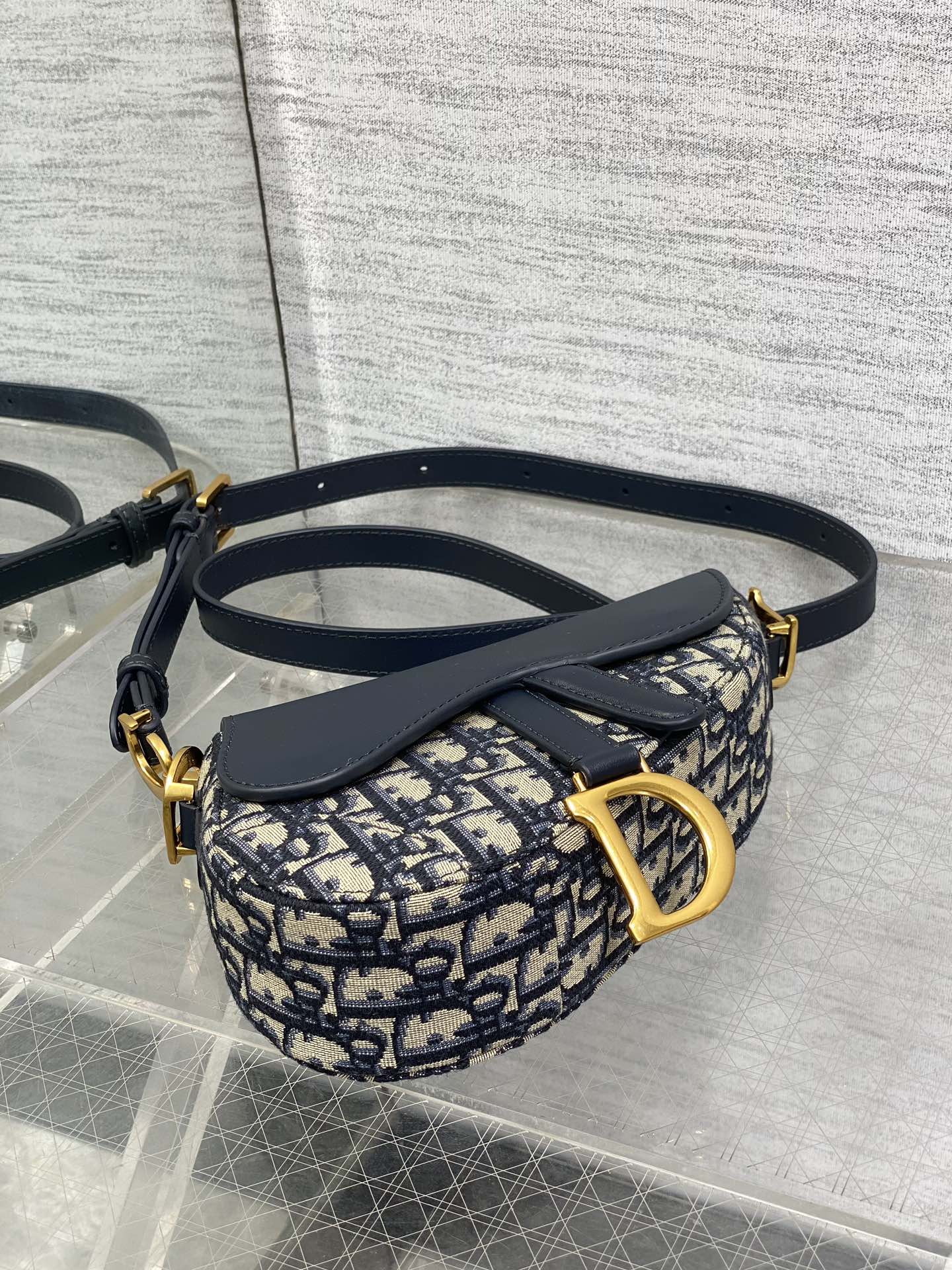 Dior Saddle Series Saddle Bag