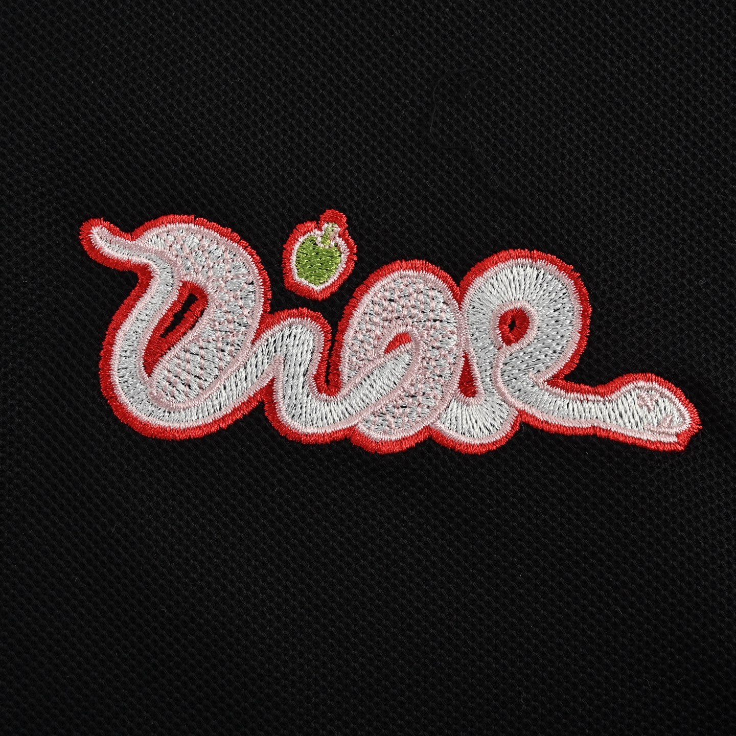 Dior 25ss KAWS Year of the Snake Embroidered Small Logo Polo Short Sleeve