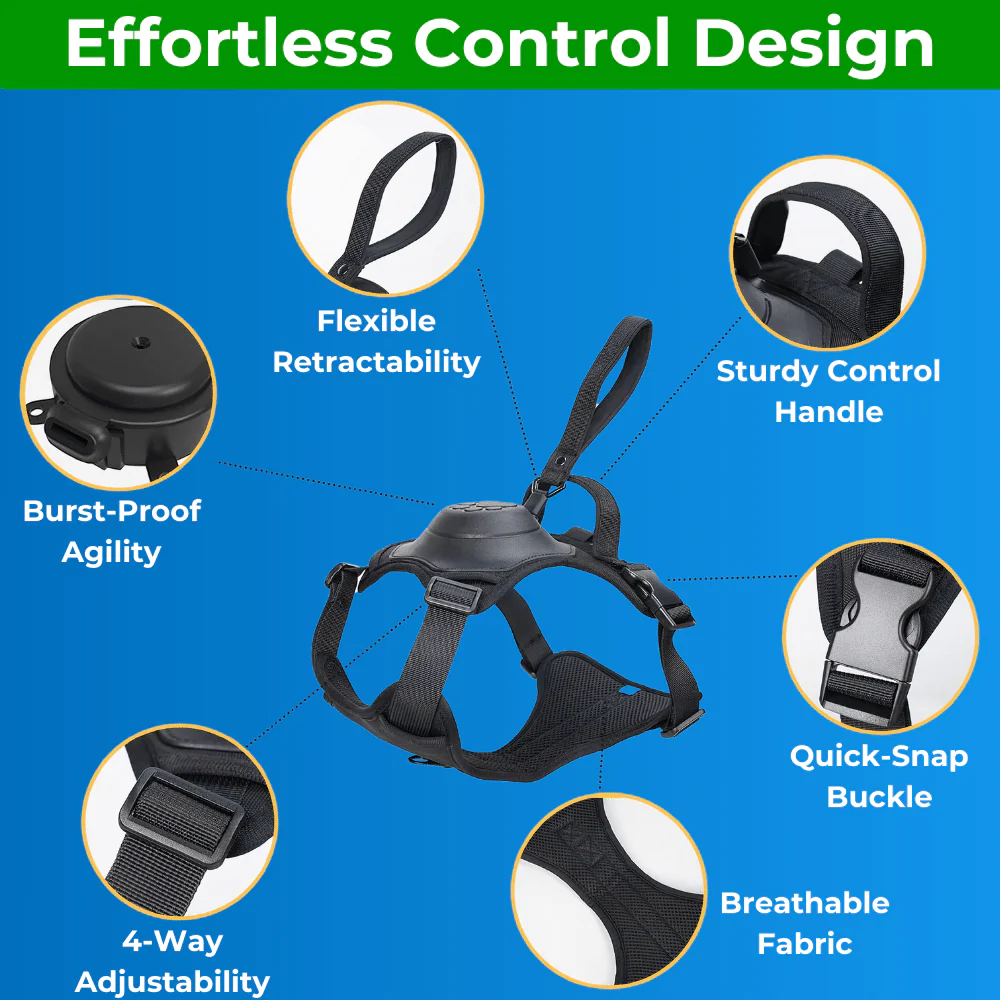 ComfyWalk - Comfort and Control in One