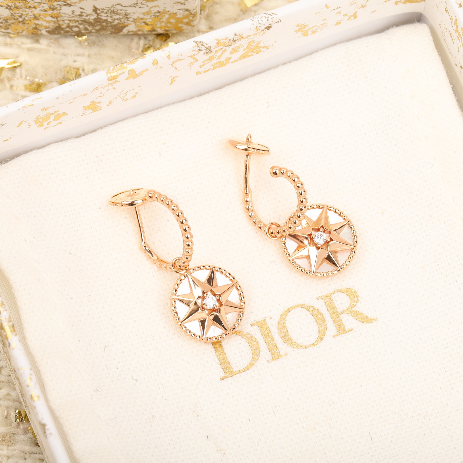 Dior Compass Earrings