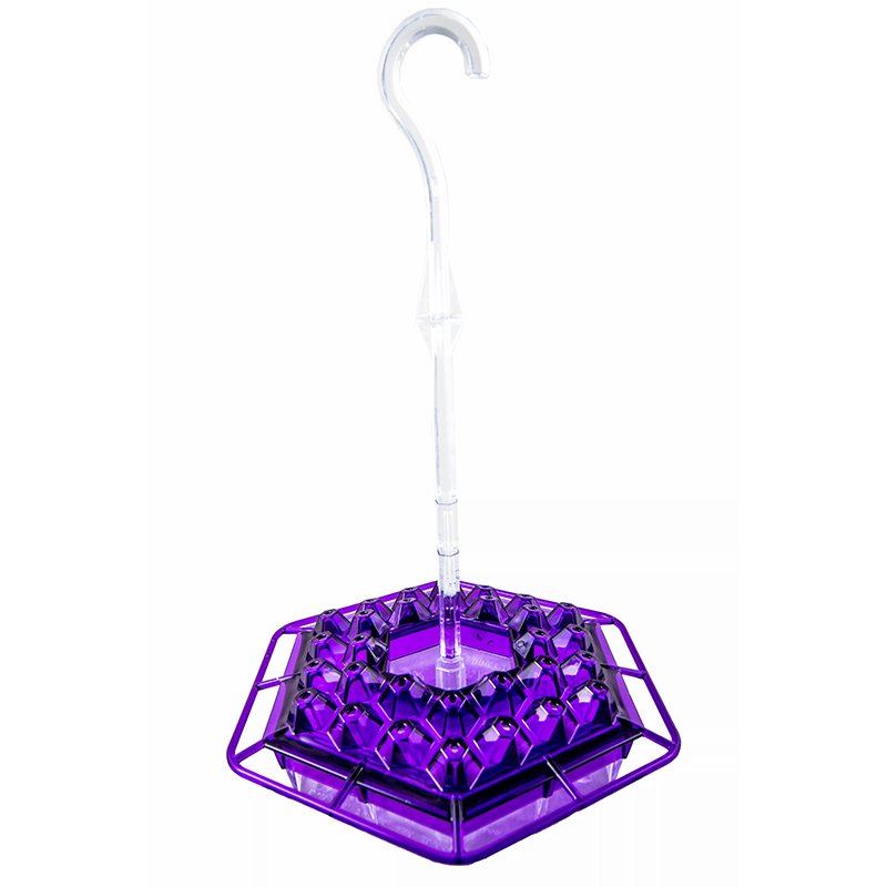 🎉 Promotion-49% OFF 🎉 Sweety Hummingbird Feeder