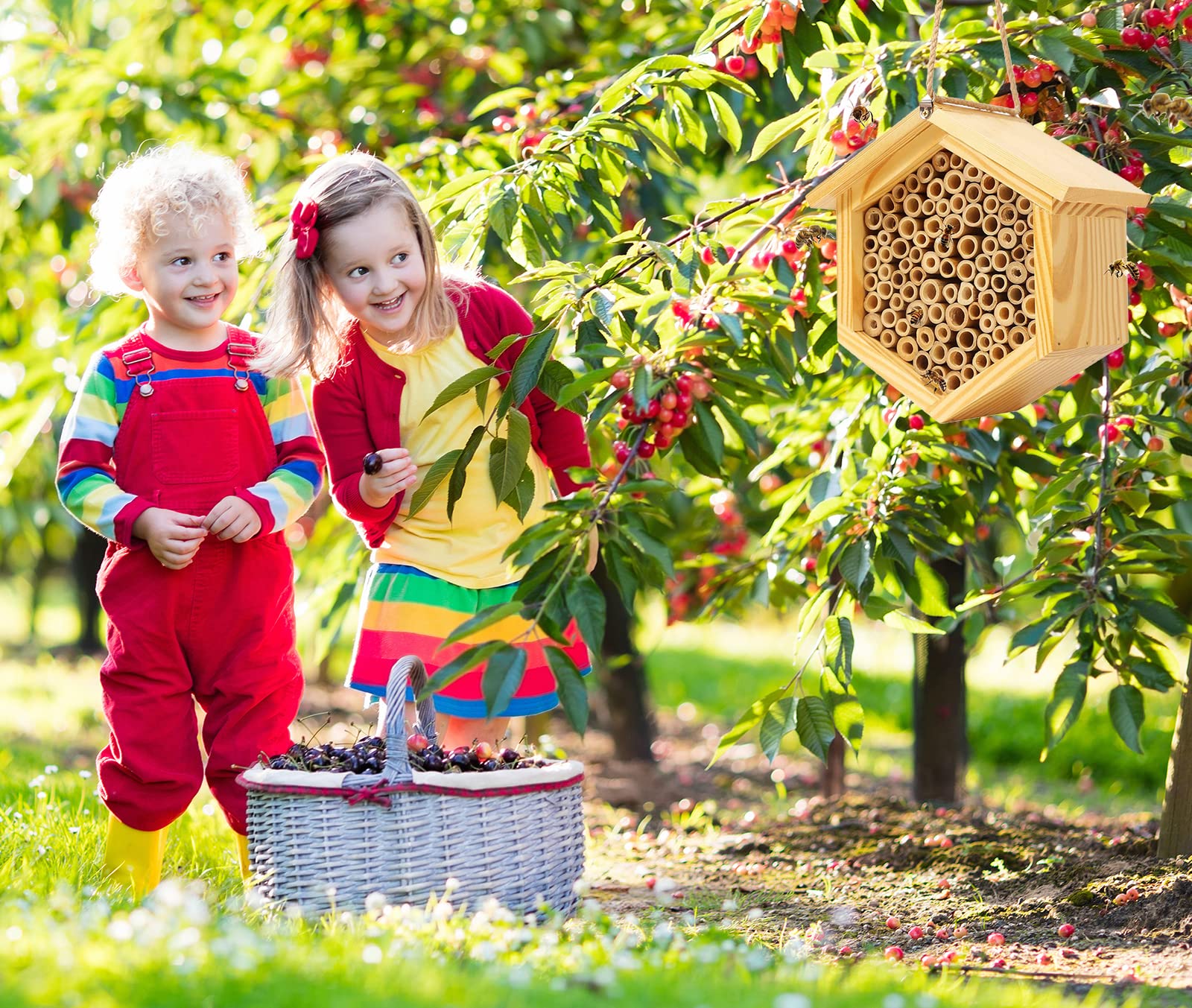 🔥ON SALE - 45% OFF🔥Natural Handmade Wooden Bee Hotel