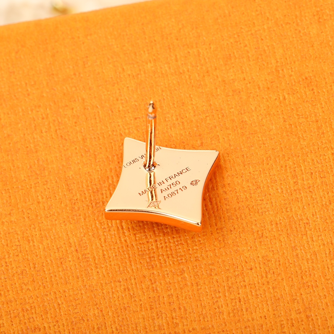 Louis Vuitton Amazonite Earrings