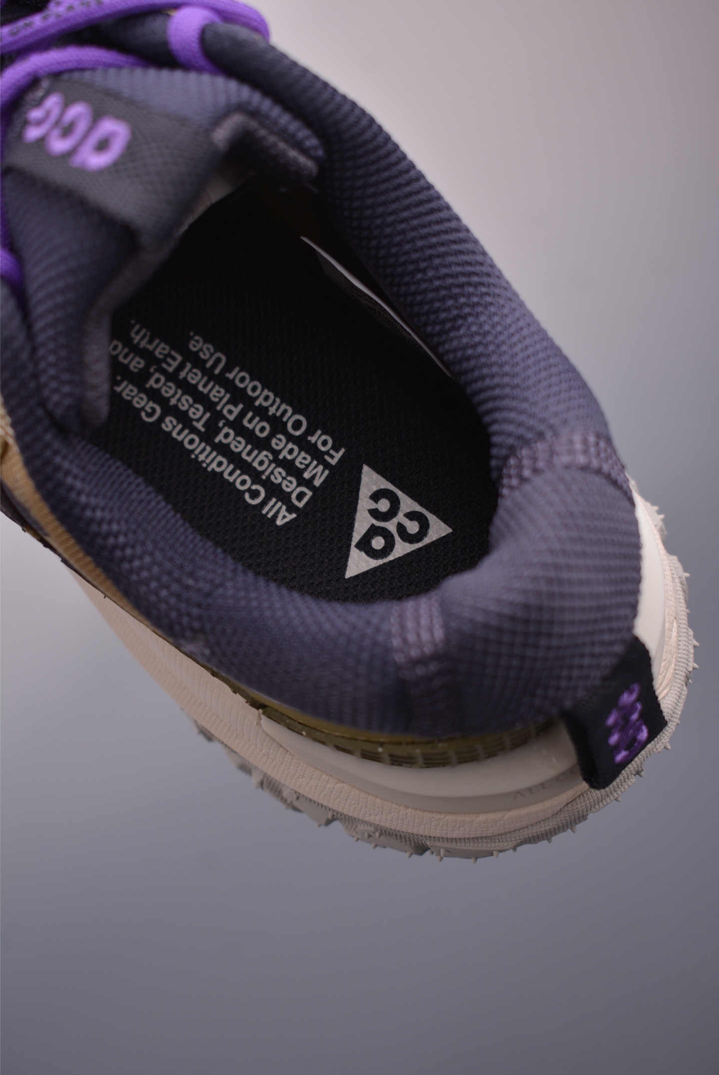 NikeACG MOUNTAIN FLY 2 LOW 