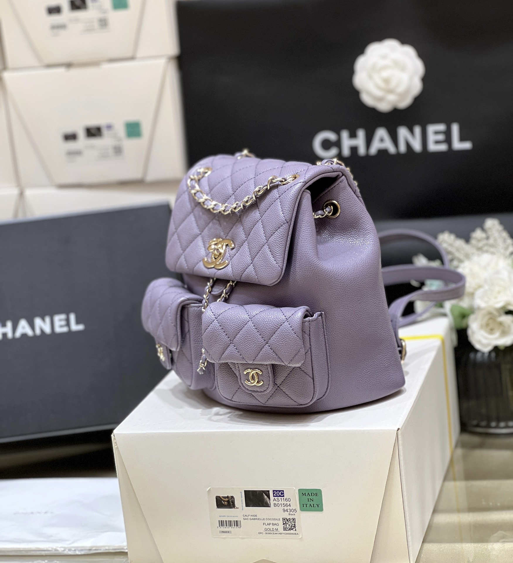 Chanel 24A duma double backpack 3860