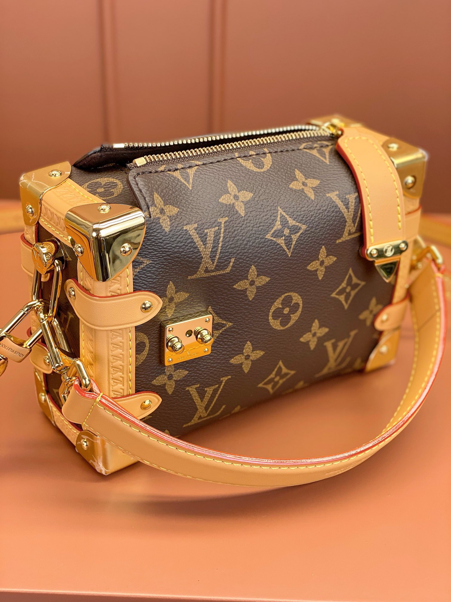 Louis Vuitton SIDE TRUNK MiNi Bag M46815