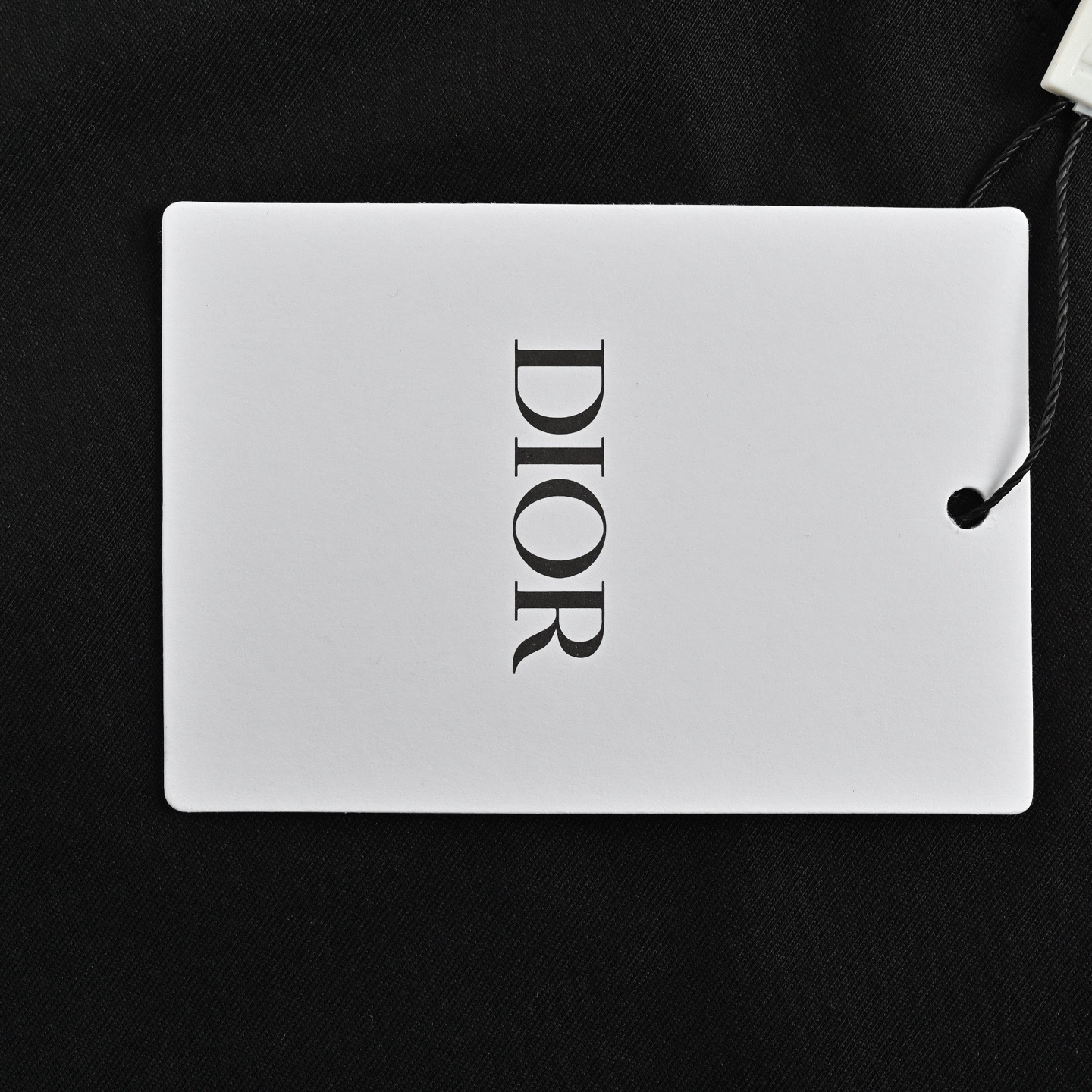 Dior 25ss flocked logo short-sleeved shirt