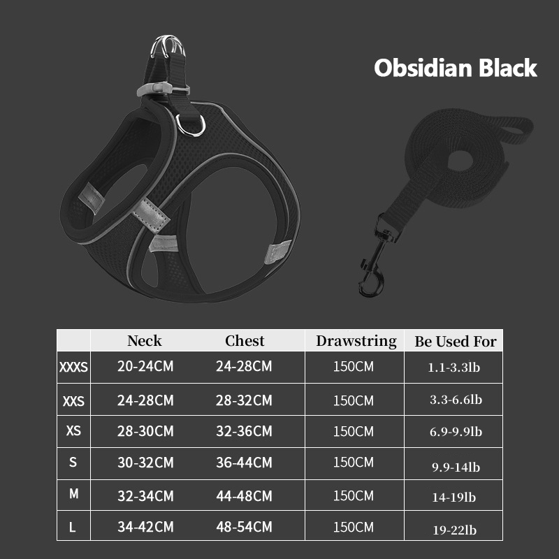 Cat Harness & Leash