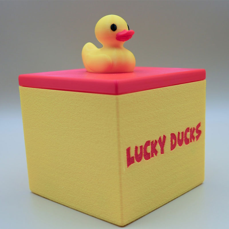 Classroom Management Lucky Ducks
