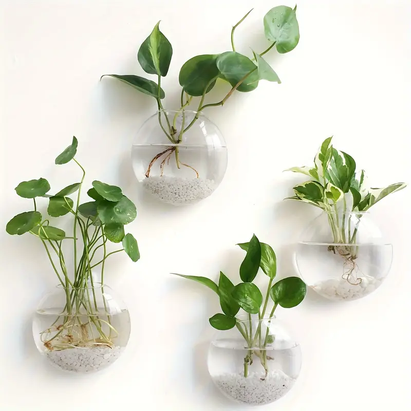 🌺🌺Creative Hanging Wall Glass Vase