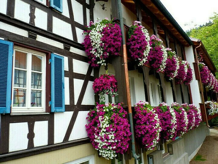 Vivid Artificial Hanging Orchid Bunch🌷 Spring Hot Sale - 49% OFF 🔥
