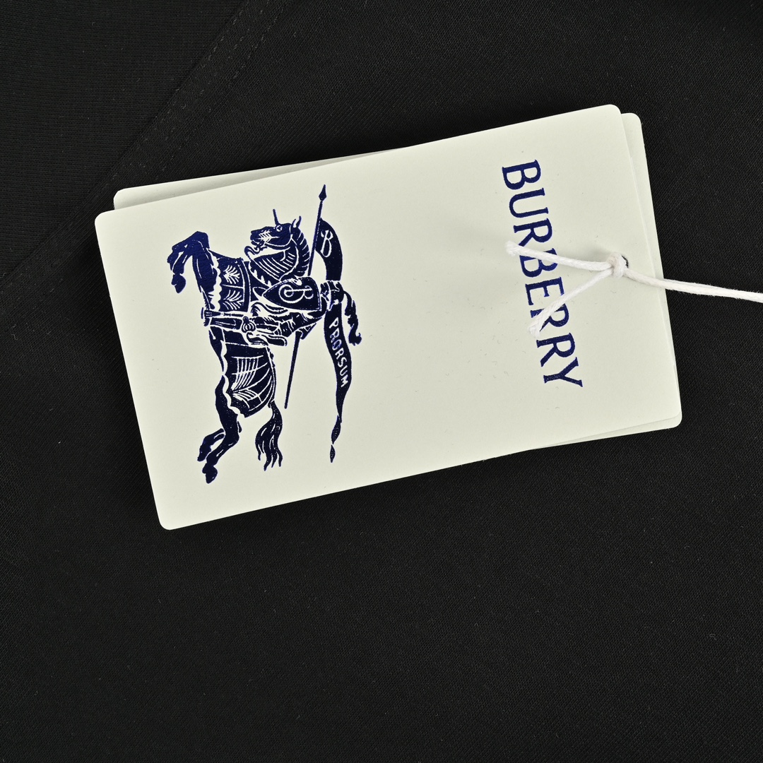 Burberry 24ss blue warhorse embroidered small logo short sleeve