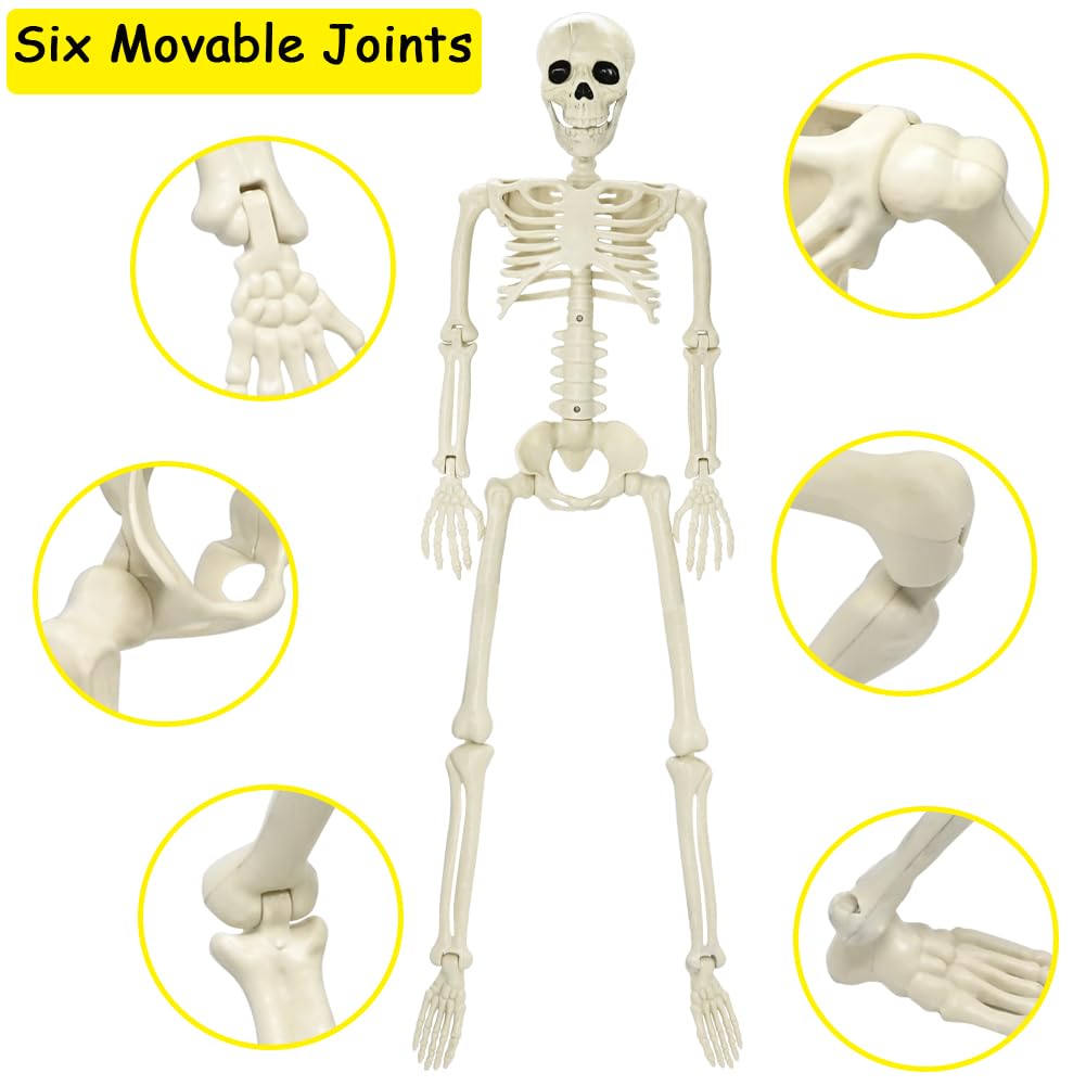 🔥Limited-Time Halloween Offer!🔥Full Body Posable Skeleton Realistic Human Bones