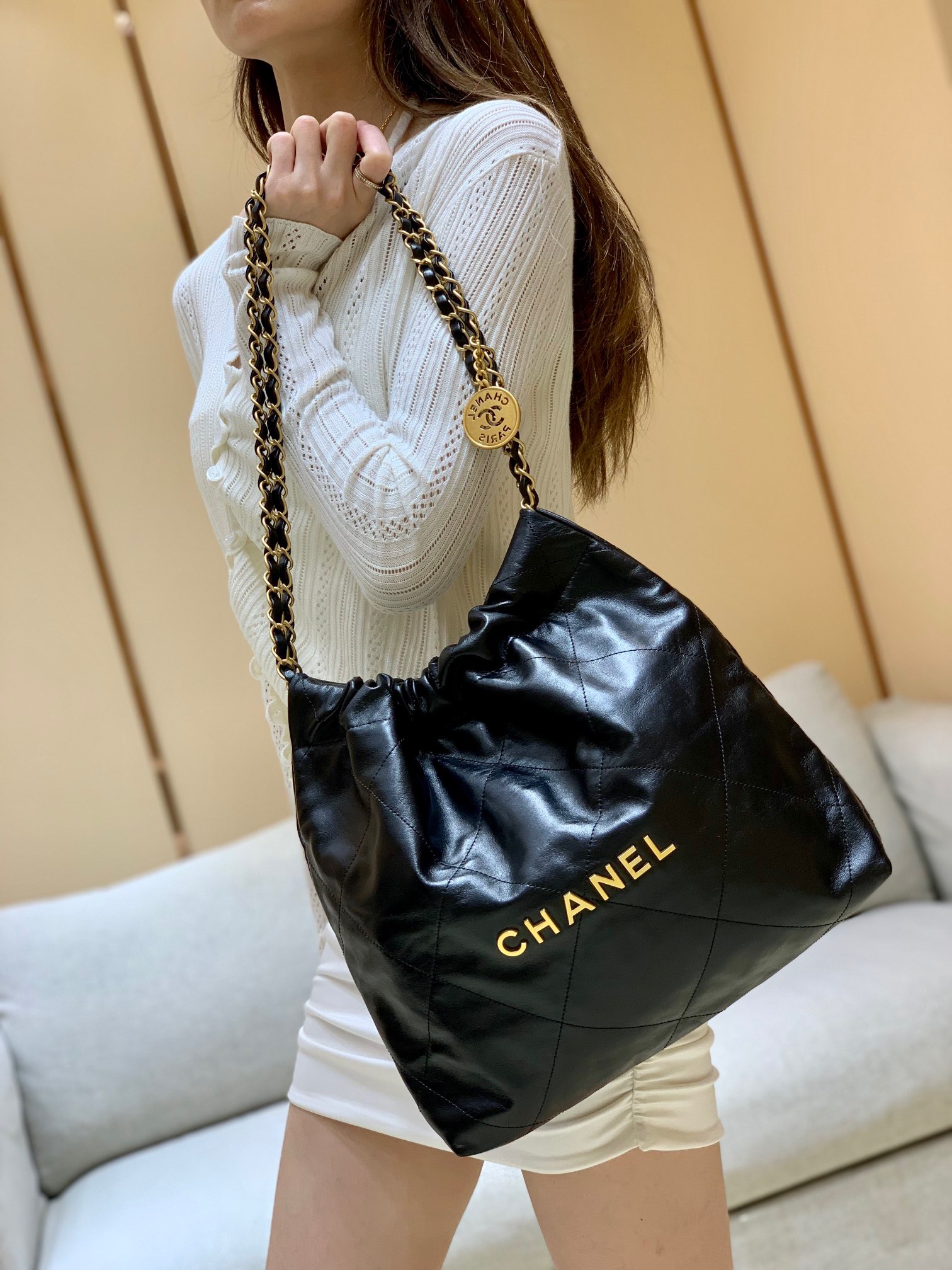 Chanel 2022cc Spring/Summer Collection Handbag AS3260