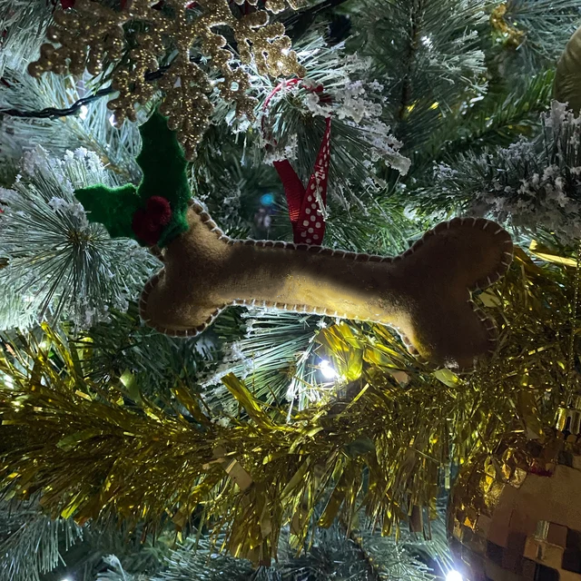 Christmas Decoration Bones