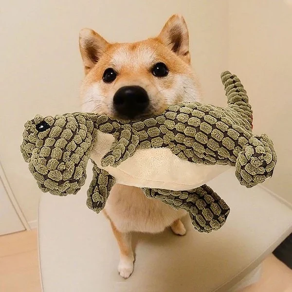 Hot Sale 49% Off �Bite resistant Robust Dino