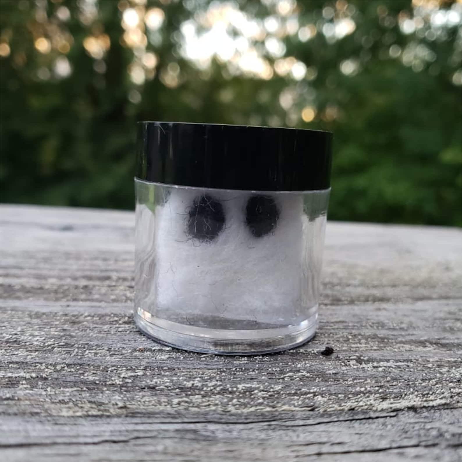 Tiny Ghost In A Jar | Adopt a Ghost