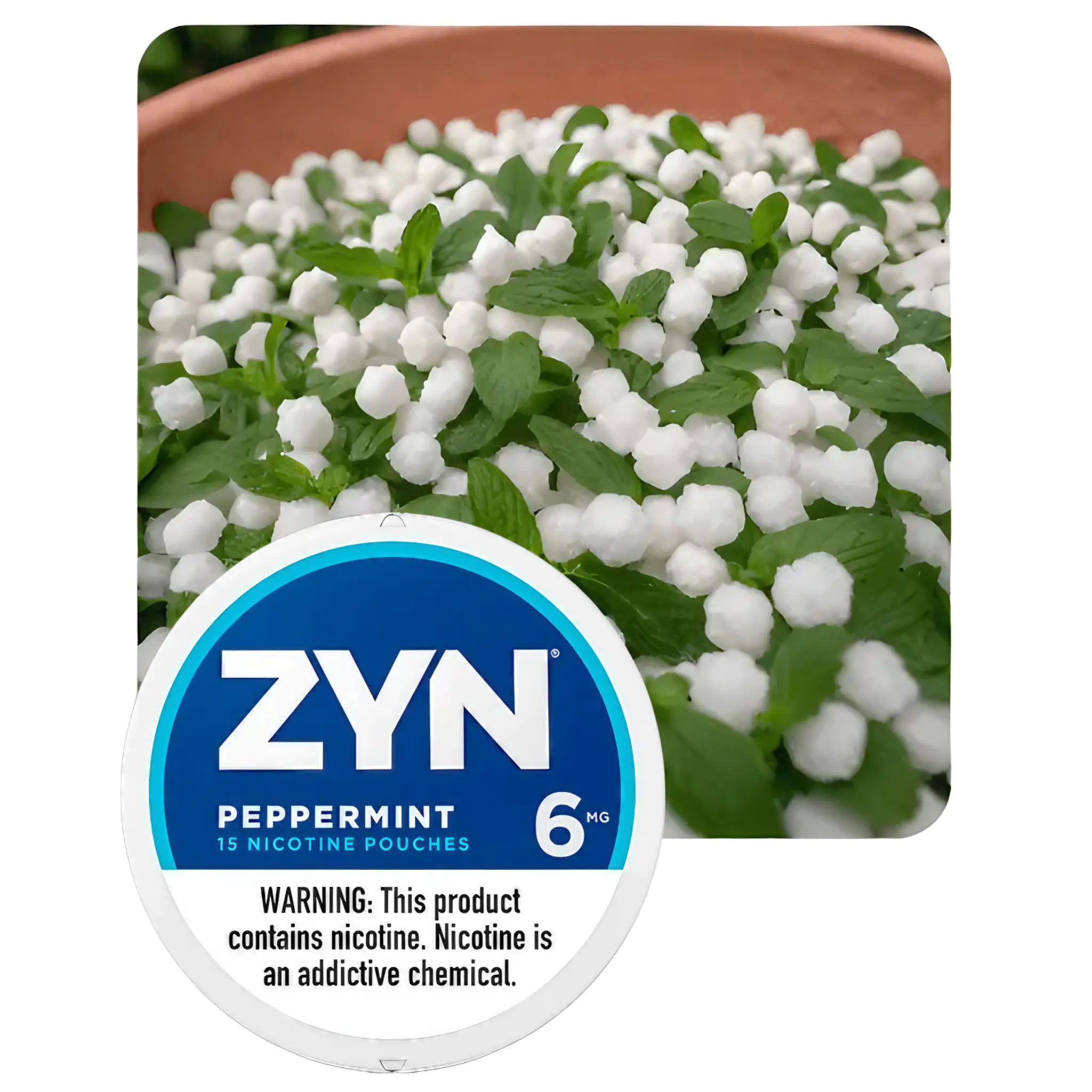 ZYN PEPPERMINT 6MG