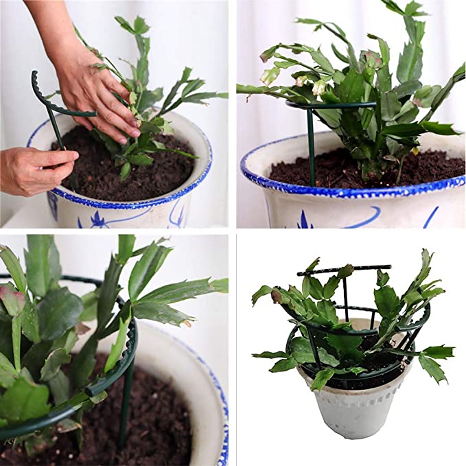 (🔥3rd Anniversary Sale) Plant Support Stake - Buy 3 Sets Get 2 Sets Free
