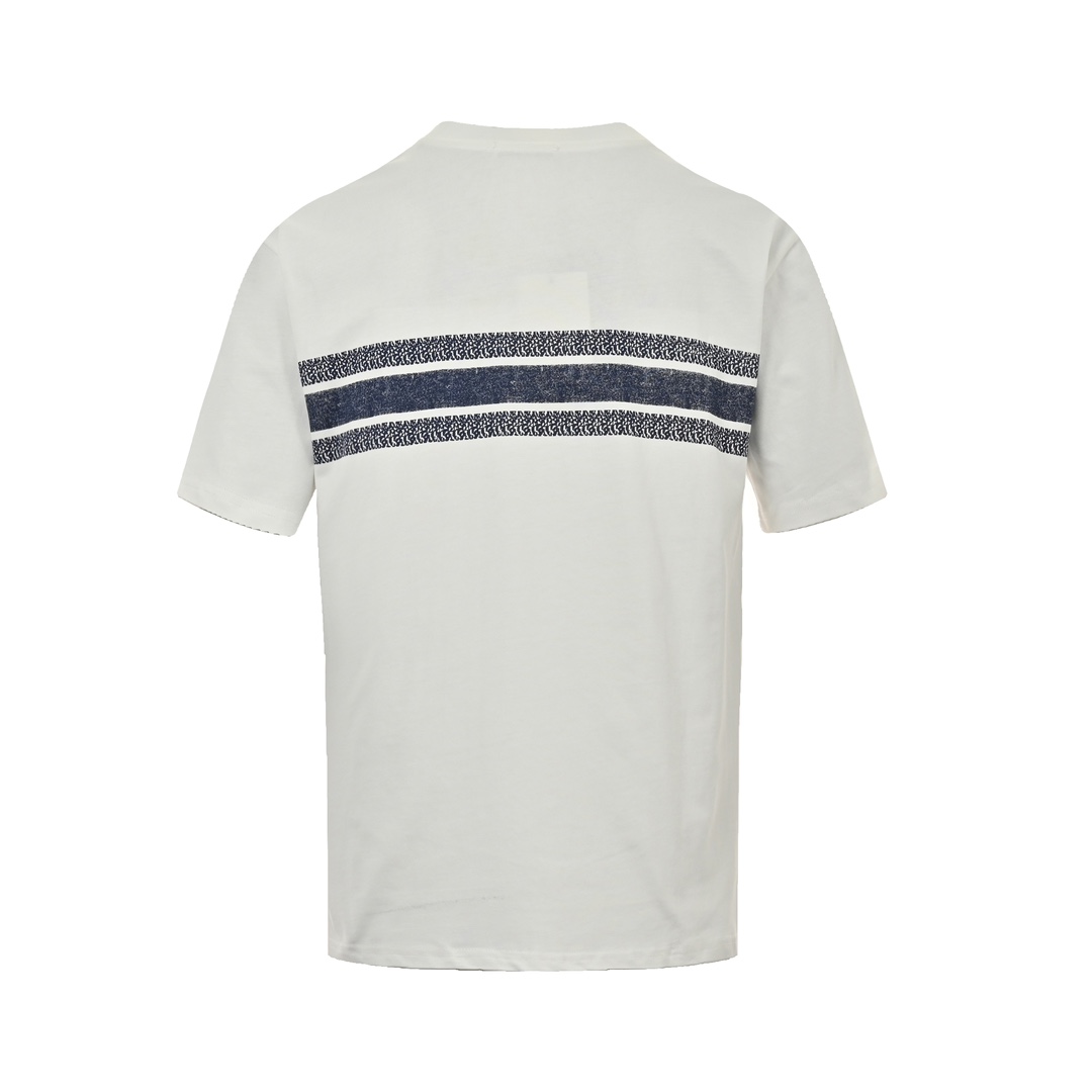 Dior 23ss blue striped letter print short sleeve