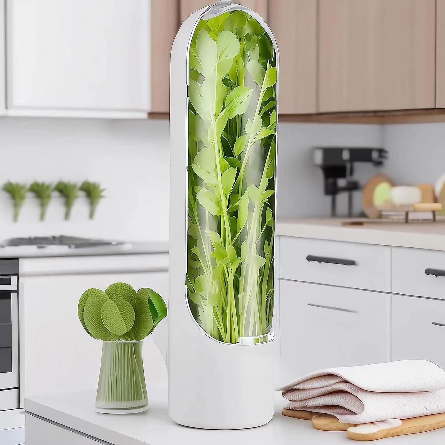 🥬🥬Fresh Vegetable Storage Box