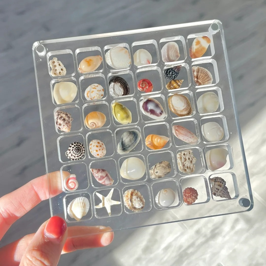Acrylic Magnetic Shell Display Box