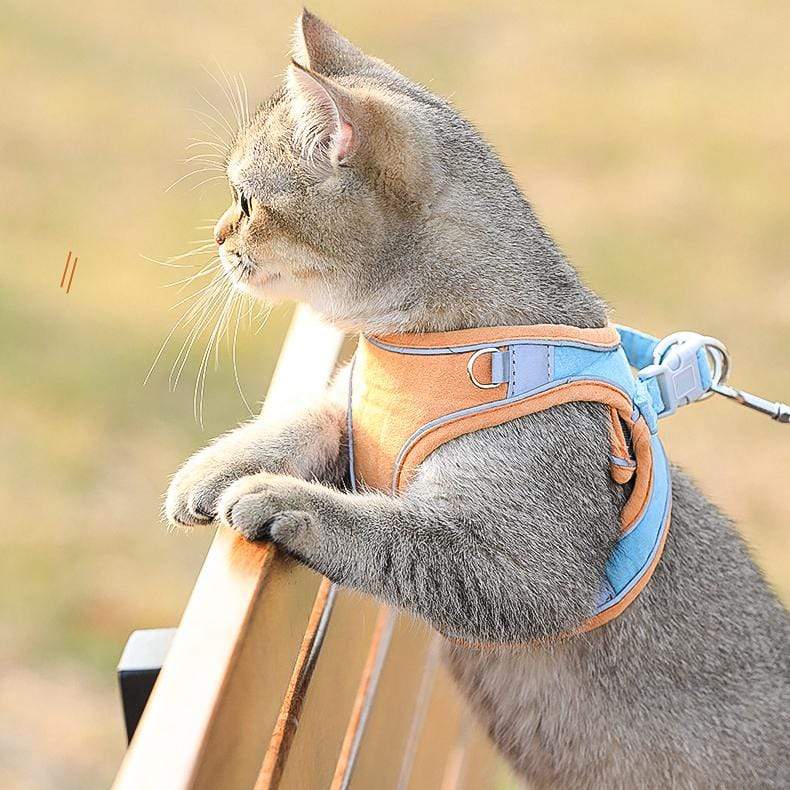 🔥Last Day Promotion-[SAVE 50% OFF]--Luminous Cat Vest Harness and Leash Set--BUY 2 GET 10% OFF & FREE SHIPPING