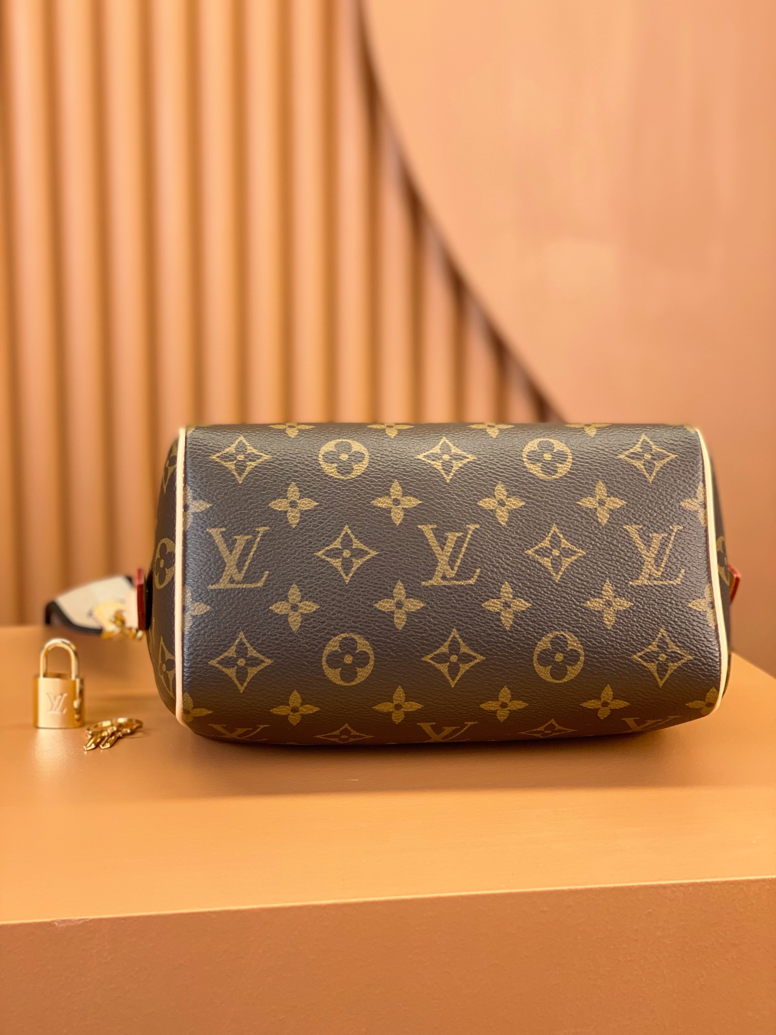 Louis Vuitton SPEEDY BANDOULIÈRE 20 Handbag M46234