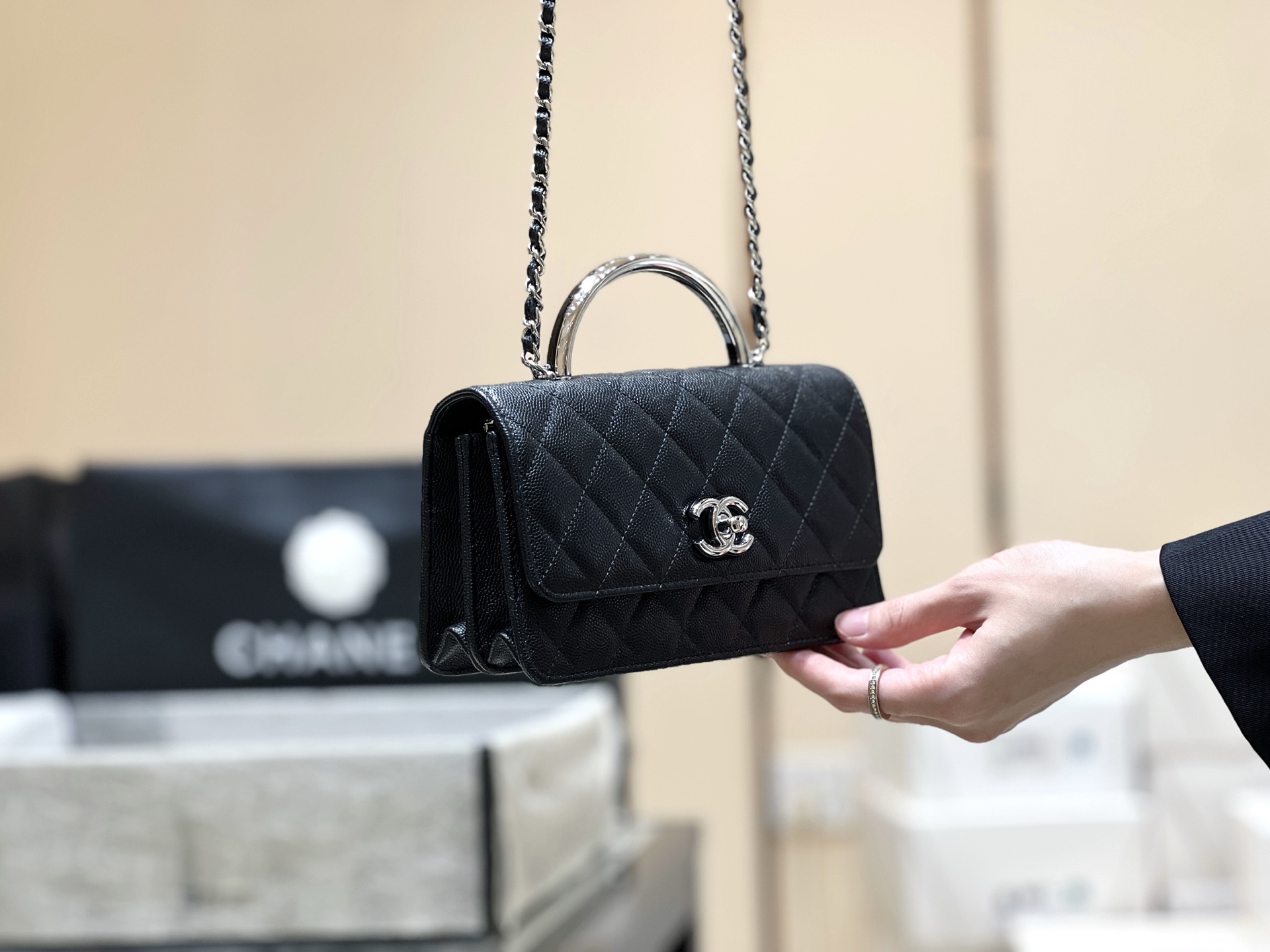 Chanel 25P Spring/Summer Preview Series Limited Edition Organ Bag AP4498