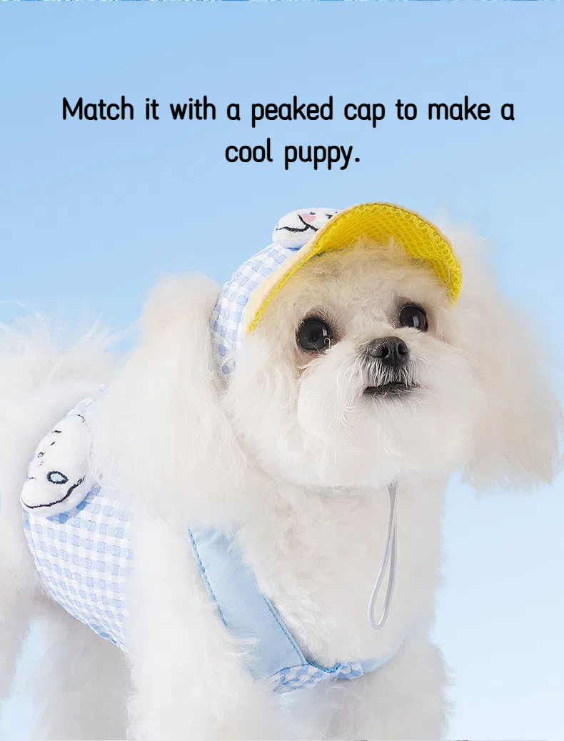 🐶🐾Fashionable dog spring and summer outdoor suit（Unleash Your Pup's Style!）