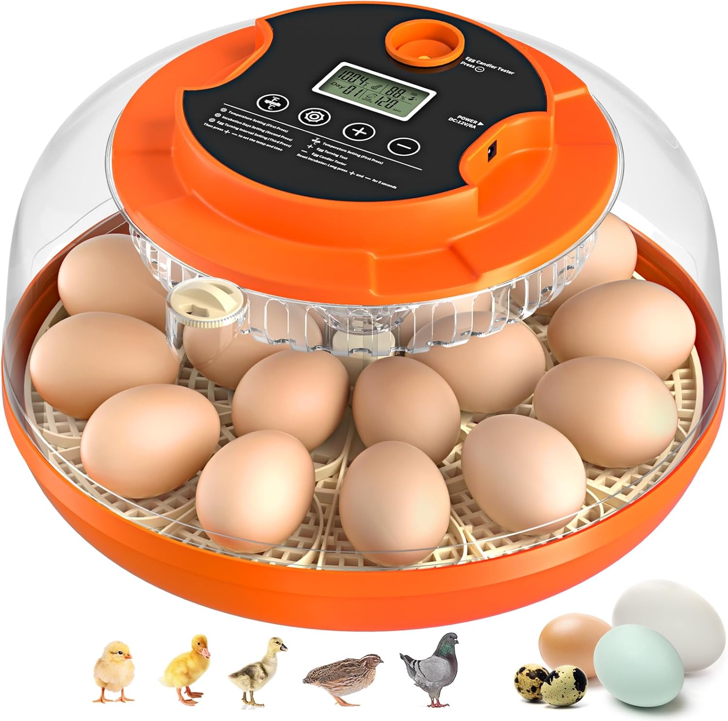 18 Egg Incubator with Automatic Egg Turning and Humidity Control, Incubators for Hatching Eggs, Chicken, Ducks, Goose, Pigeon, Quail, Parrot Incubator for Farm