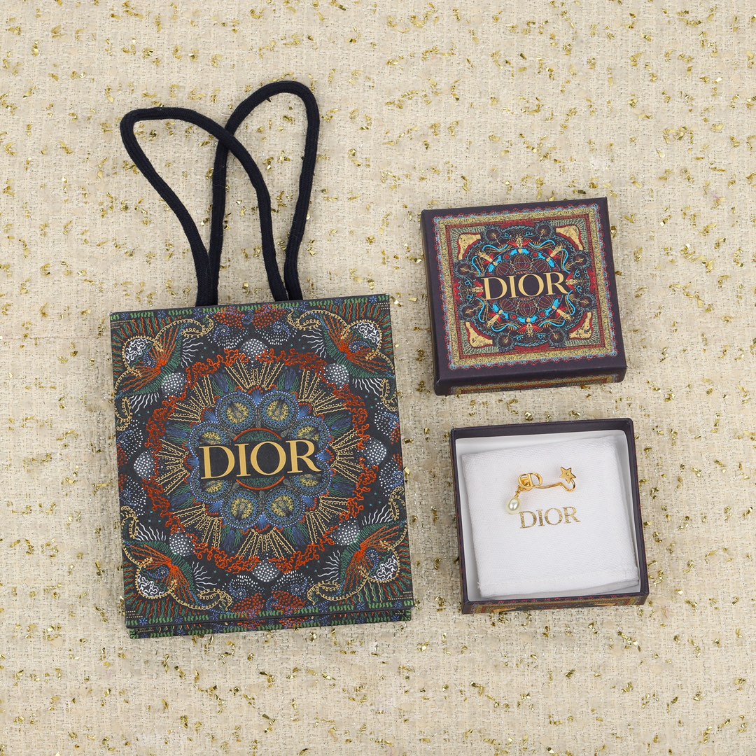 Dior Metal Single Earring