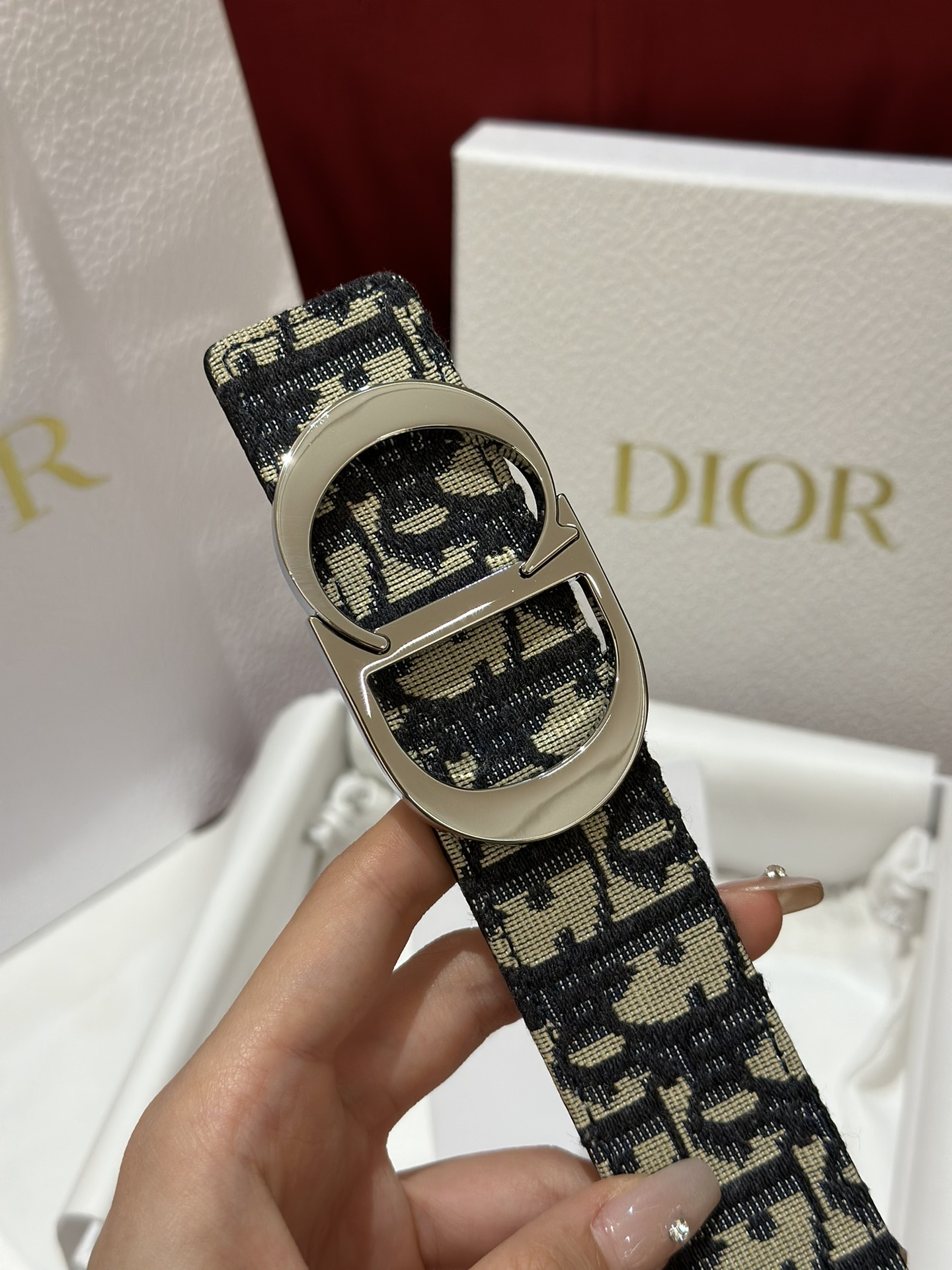 Dior CD Buckle Canvas Leather Belt 3.5CM Width