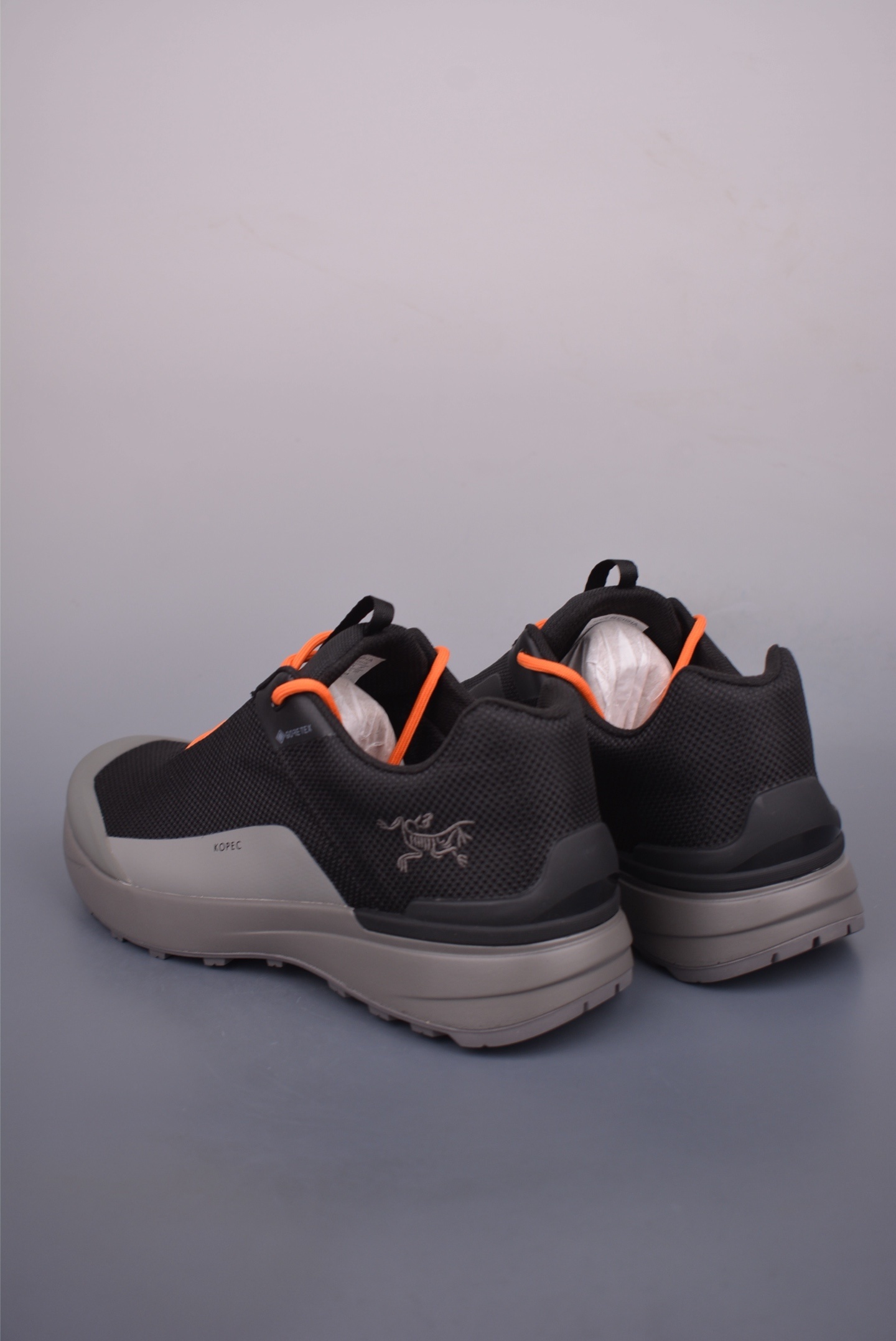 Arc'teryx NORVAN GTX Hiking Shoes 