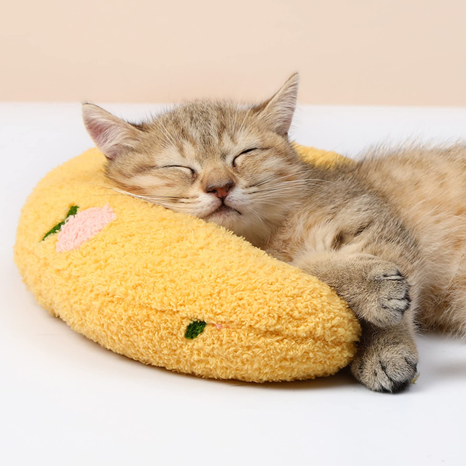 Cat Lovely Cozy Pillow--BUY 3 GET 2 FREE & FREE SHIPPING