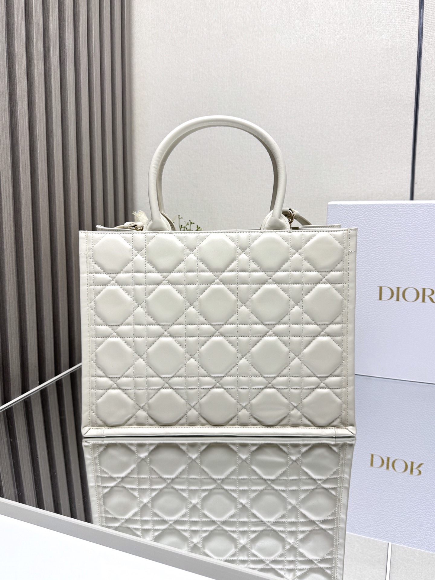 Dior BOOK TOTE handbag M1324