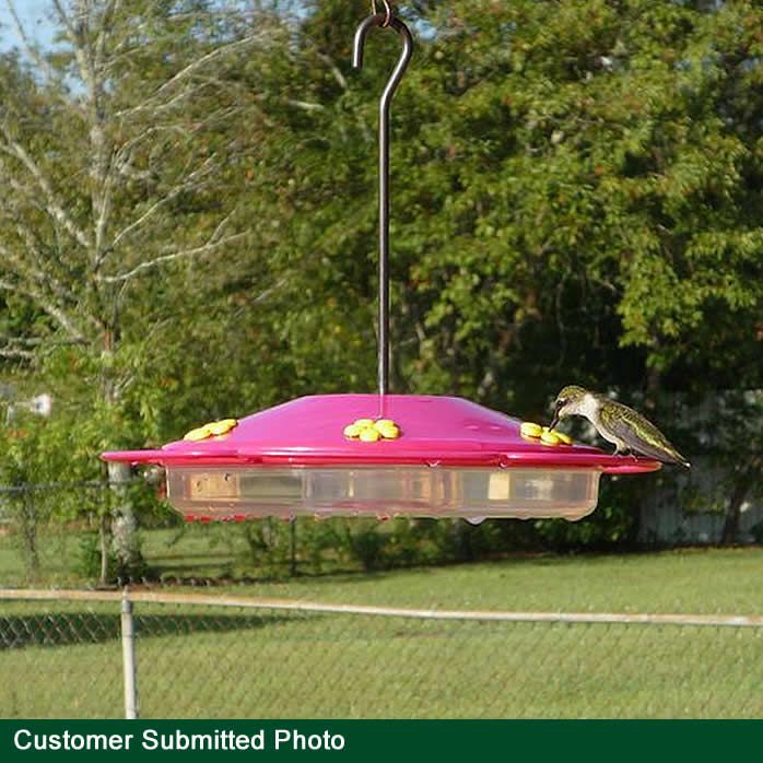 Hummingbird Feeder With Perch And Built-in Ant Moat