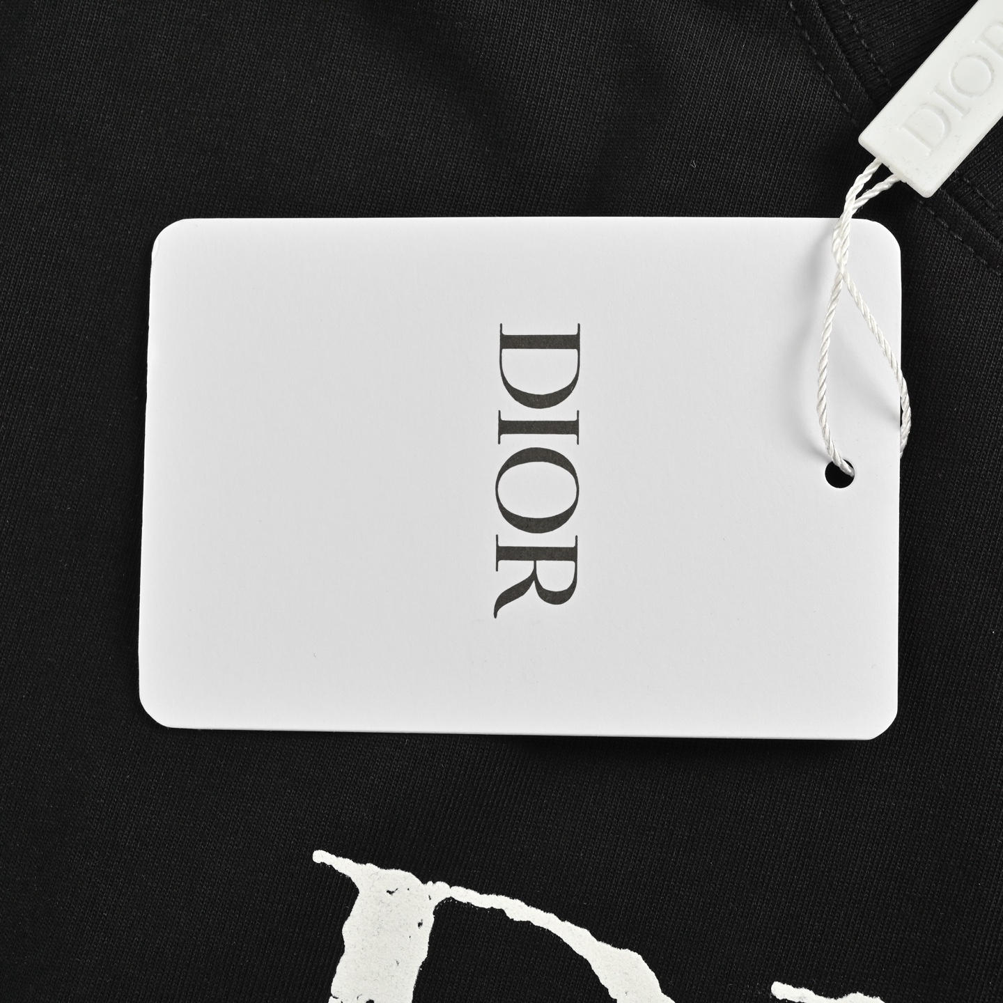 Dior 25ss Stone Island joint mottled letter logo printed short sleeves