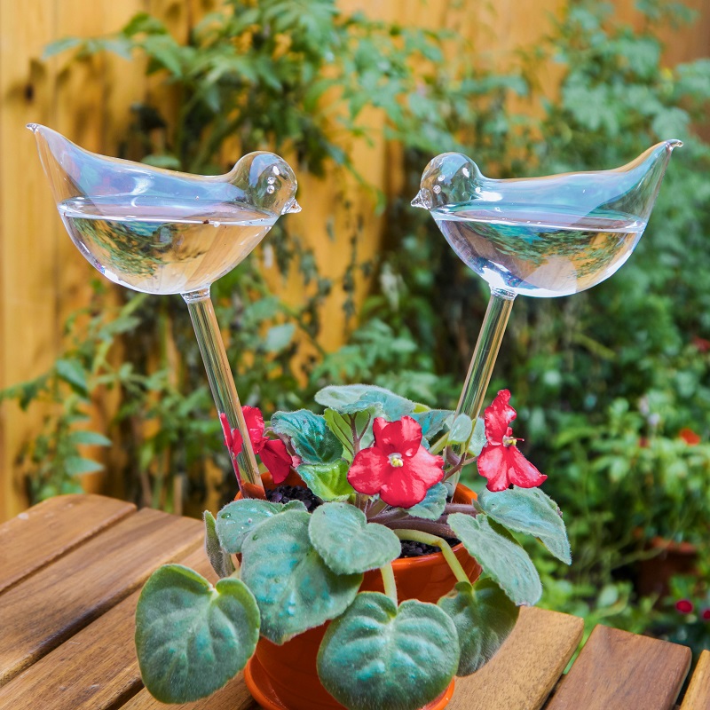 (🔥Last Day Promotion-SAVE 50% OFF) 2PCS/SET Self-Watering Plant Glass Bulbs -- BUY 3 SETS FREE SHIPPING